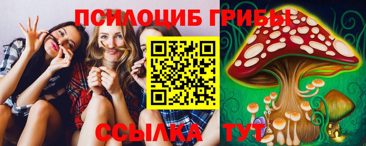 Галлюциногенные грибы Magic Shrooms  Вход с VPN  Псилоцибиновые грибы Magic Shrooms  Кириши 